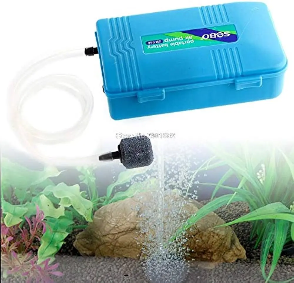 bomba de aire de baterias para acuario - Cómo oxigenar el agua de un acuario
