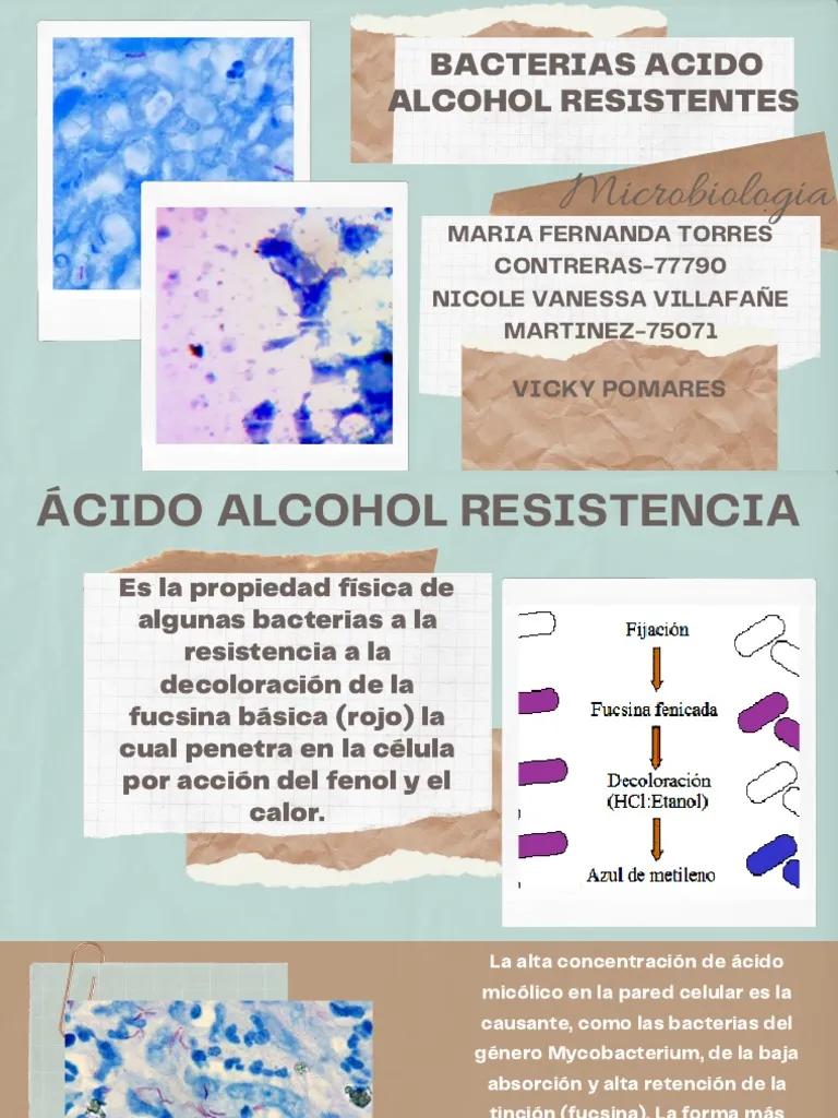 aejemplos de baterias acido residentes - Qué bacteria produce el ácido láctico