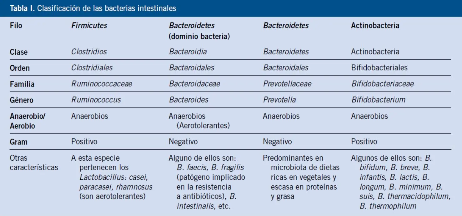 aejemplos de baterias acido residentes - Qué bacterias son ácido resistentes