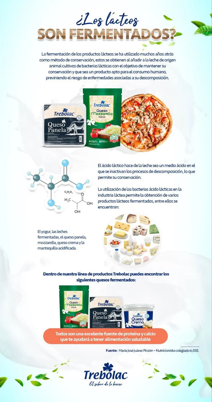 conservación por azúcar en lacteos baterias lacticas - Qué sucede con las bacterias lácticas que se utilizaron en la elaboración del yogur