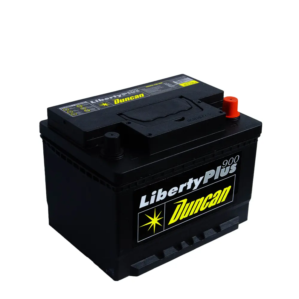 baterias dustert - Qué tipo de batería usa la Renault Duster
