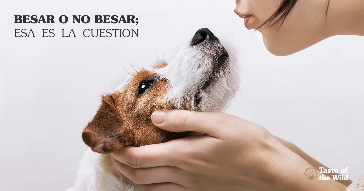 baterias saliva humana vs perro - Quién tiene la boca más limpia un gato o un humano